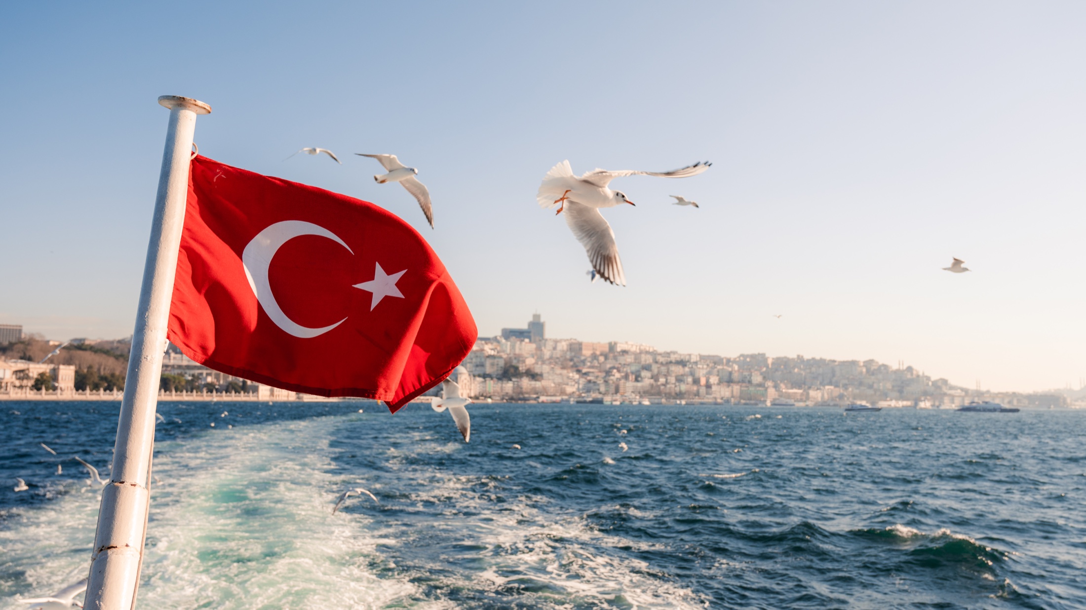 Turkish flag and seagulls above the Bosphorus